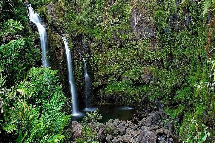 Road to Hana Deluxe Rainforest & Waterfall Experience from Maui