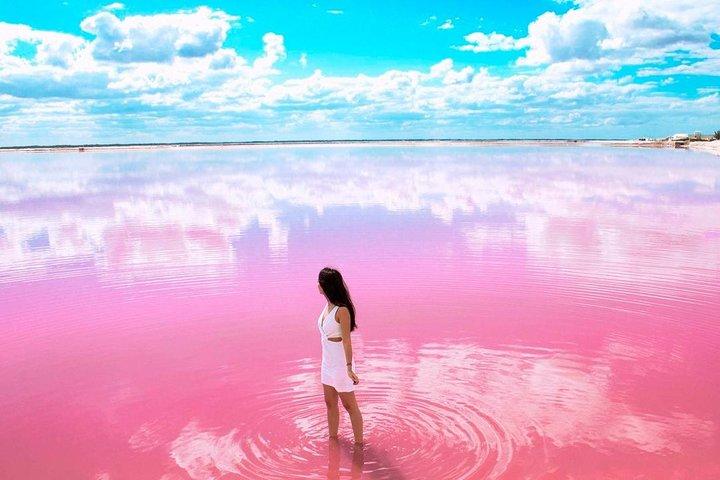 Las Coloradas Tour With Transportation from Playa del Carmen