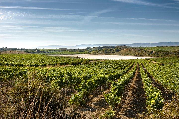 La Rioja wines and Laguardia tour from Logroño