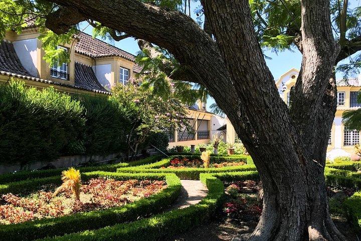 Nature, Wines and Ceramic Tiles: Private Tour