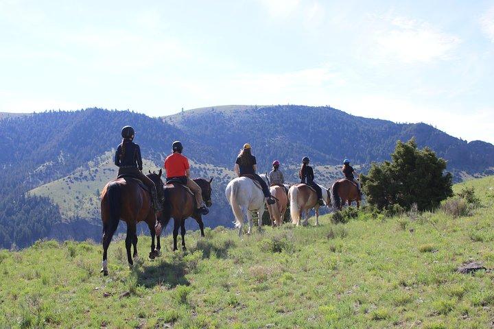 Blue Flower Trail Ride