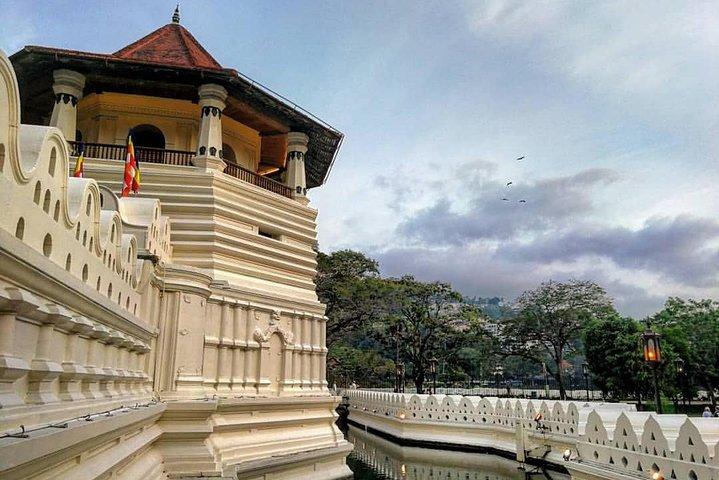Kandy Sightseeing Day Tour from Colombo (All Inclusive)