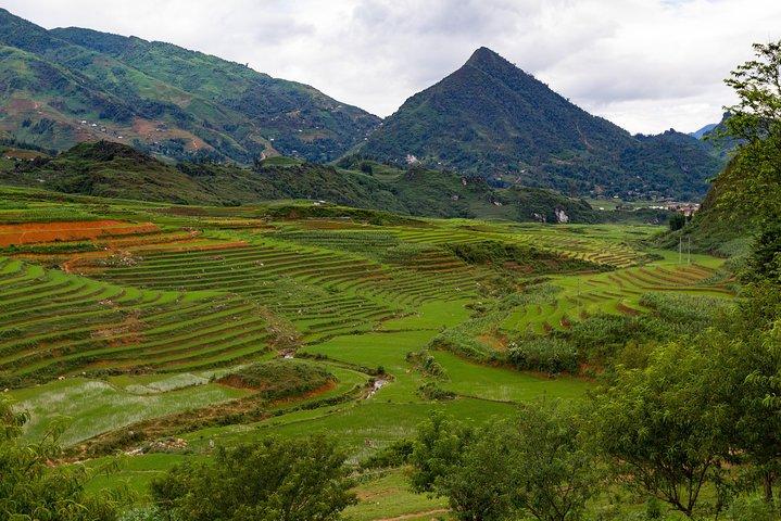Red Dao village trek and Herbal bath