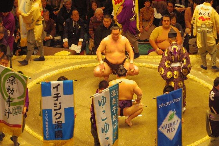 Tokyo Sumo Wrestling Tournament Experience
