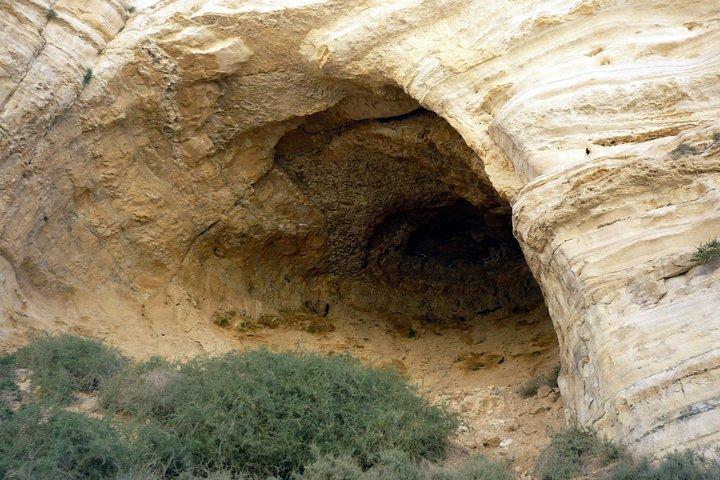Private Day Trip to Dead Sea and Masada from Tel Aviv