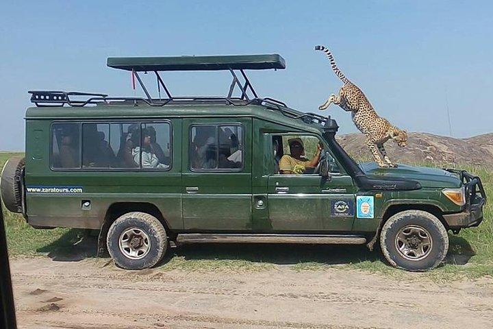 Elephant Special Serengeti & Ngorongoro Crater 5 Days / 4 Nights