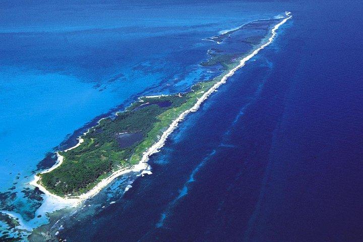 Isla Contoy & Shopping tour in Isla Mujeres from Cancun