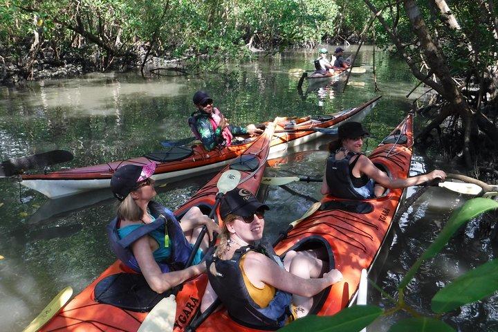 Mangrove, Beaches and Islands by Kayak tour