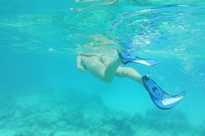 Pongwe Coral reef Snorkeling