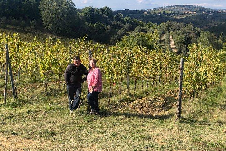 Tuscany Brunello wine tour (12hrs) Montalcino, Montepulciano