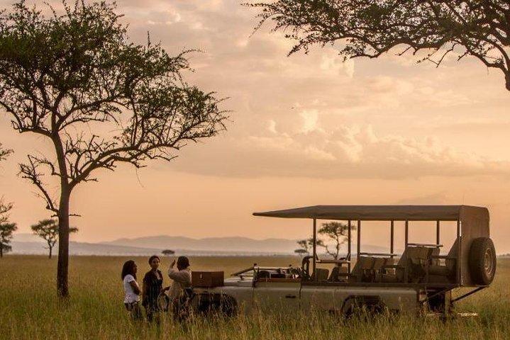 6 Days Exclusive Luxury PrivateTanzania Safari