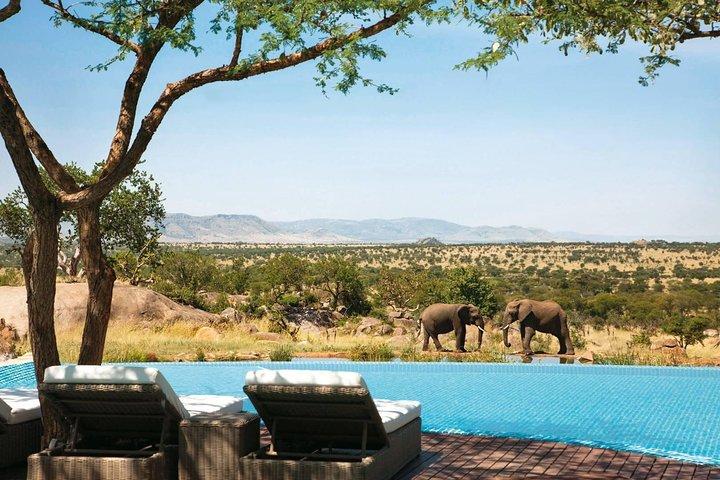 5 Days 4 Nights Exclusive Luxury Tanzania Safari