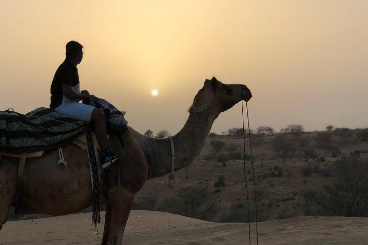 Experience Jaisalmer City With Camel Ride