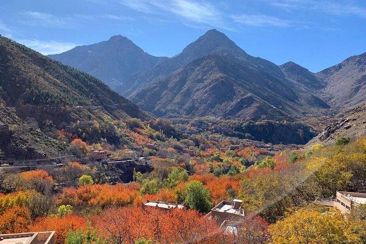 Atlas Mountains & Berber Villages & Waterfalls: Guided Day Tour from Marrakech