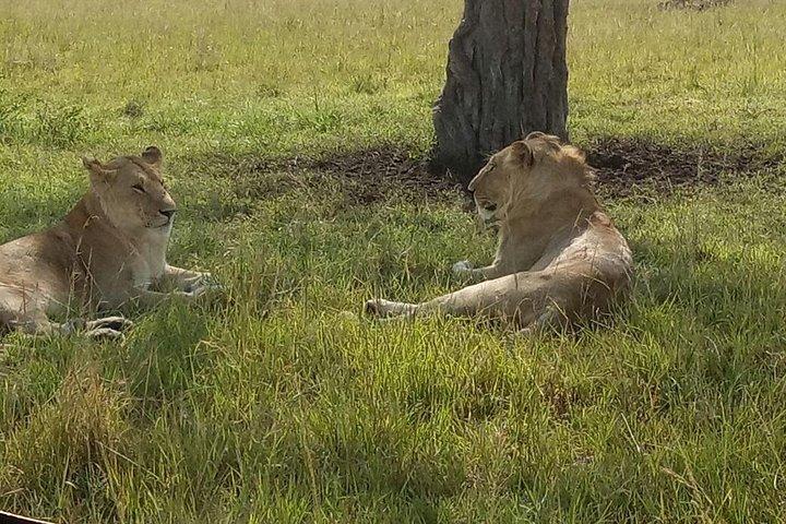5 Days Kenya Adventurous Safari
