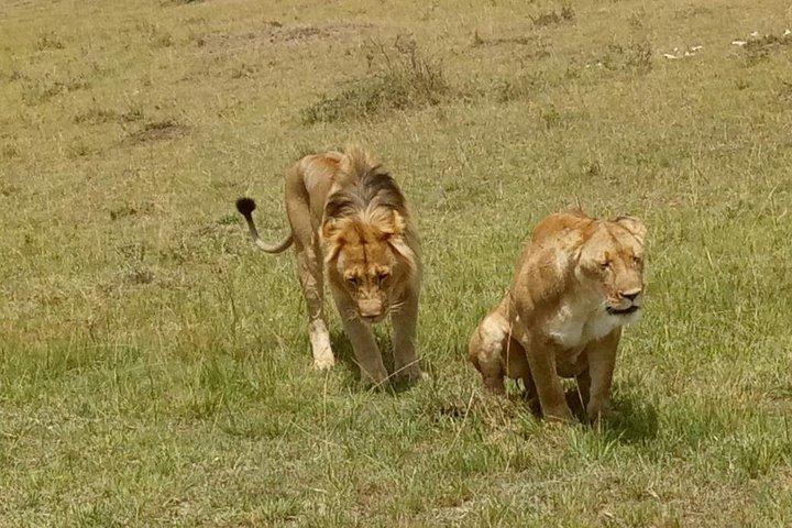 5 Days Kenya Adventurous Safari