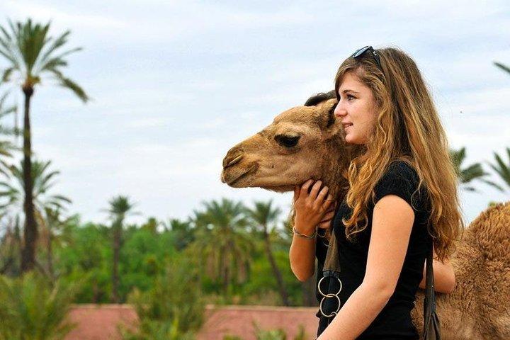 Atlas Mountains & 3 Valleys Day Tour Fro Marrakech Including Lunch & Camel Ride
