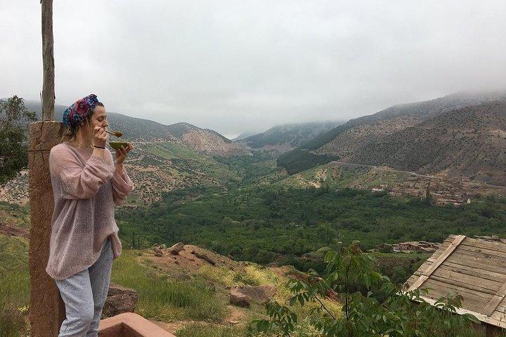 Atlas Mountains & 3 Valleys Day Tour Fro Marrakech Including Lunch & Camel Ride