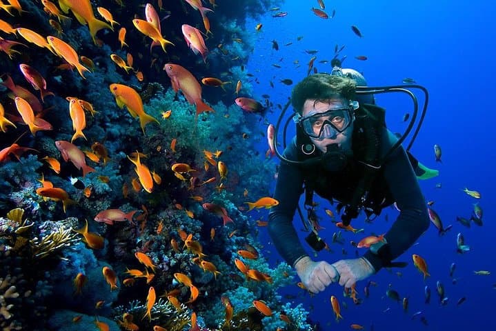 From Luxor : Utopia Island Royal VIP Snorkeling Sea Trip