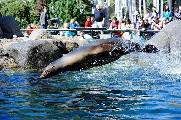 Central Park Zoo Admission Ticket with 4D Theater Access