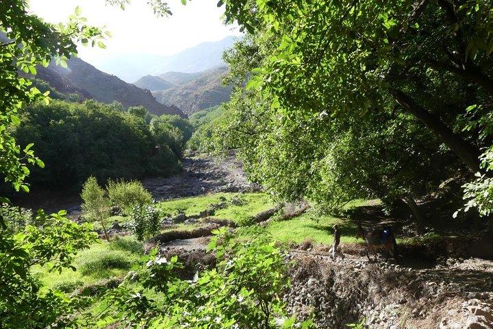Atlas Mountains and Three Valleys & Waterfalls: Guided Day Trip from Marrakech
