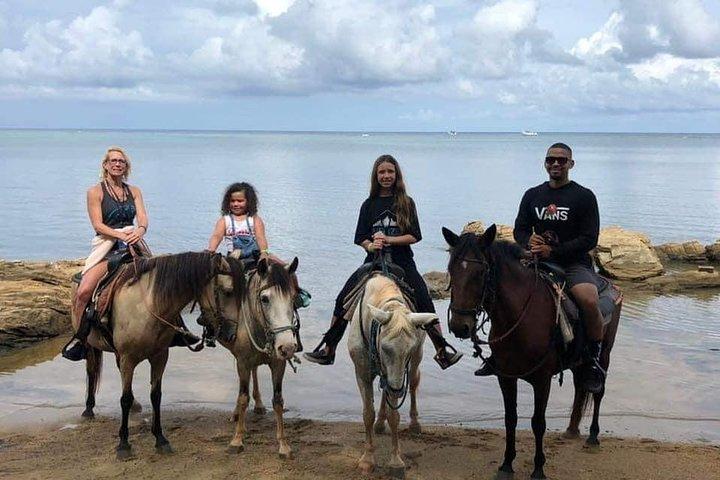 Roatan Horseback Riding & West Bay Beach