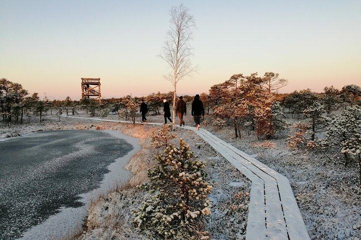 Sunrise at Kemeri National park + Jurmala