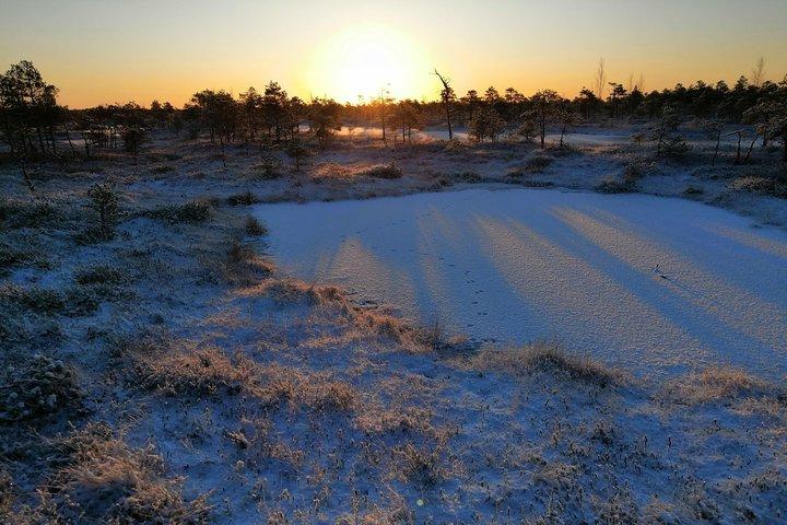 Sunrise at Kemeri National park + Jurmala