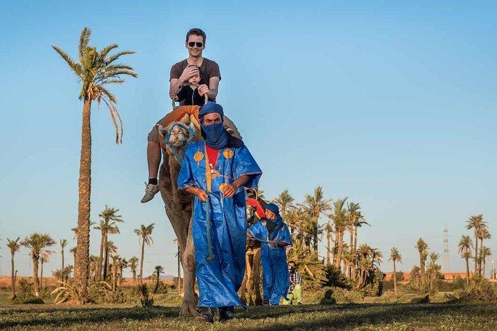 Pack Camel ride 1 Hour and Quad biking 2 Hours in Marrakech
