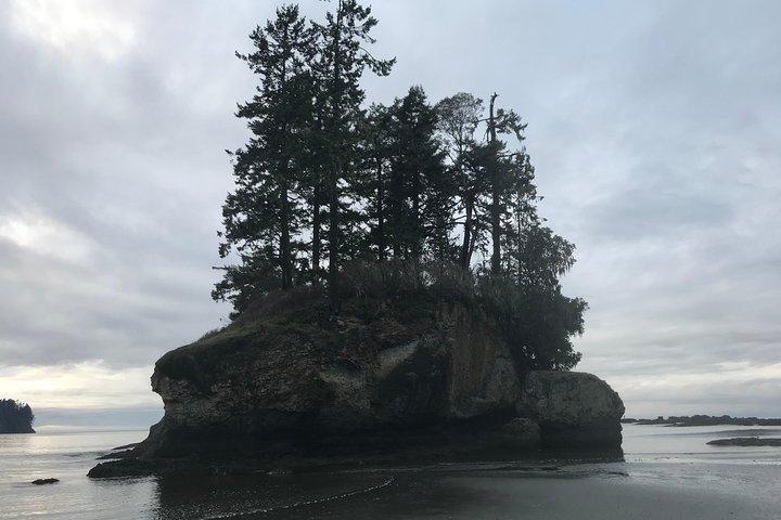 Olympic National Park Day Tour from Seattle