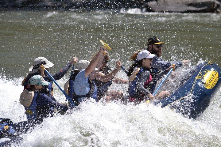 Salmon River Half-Day Afternoon Whitewater Rafting