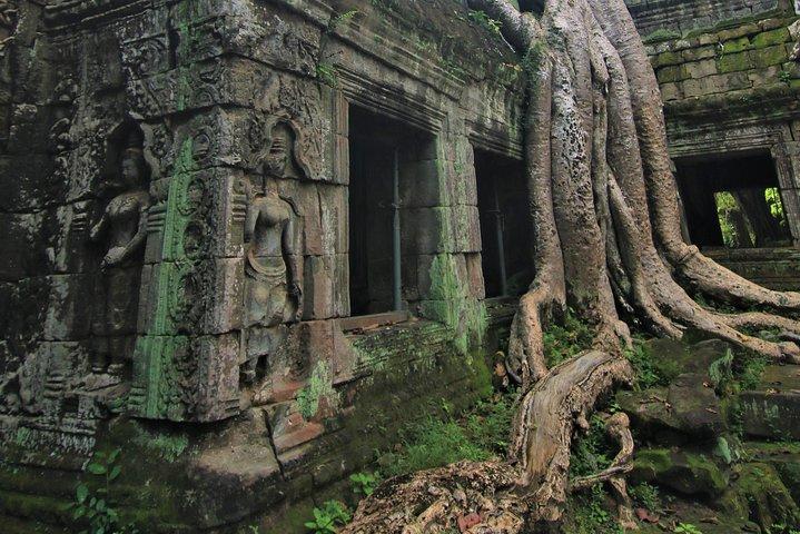 Heritage Temple Full Day Tour with Lunch