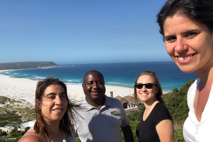 Cape Peninsula Private Tour
