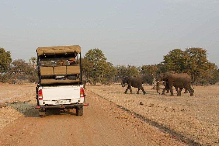 Game Drive in Mosi-Oa-Tunya National Park