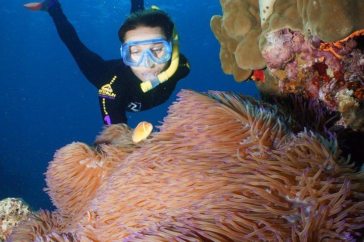 Poseidon Outer Great Barrier Reef Snorkeling and Diving Cruise from Port Douglas