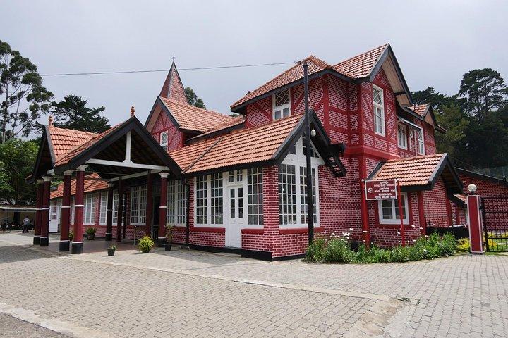 Explore Nuwara Eliya - Waterfall & Tea Factory Tour