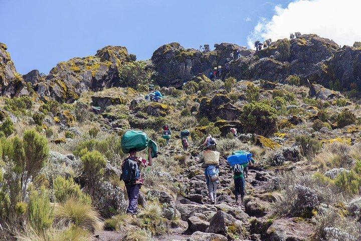 Conquer Kilimanjaro: 5-Day Marangu Route Adventure