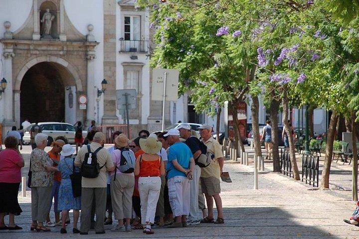Discovery Portugal South to North - 6 days private tour all included.