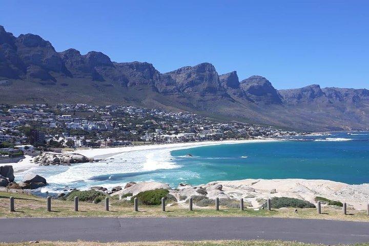 Cape Point, Boulder's Beach in Private Car Entrance Fees Included