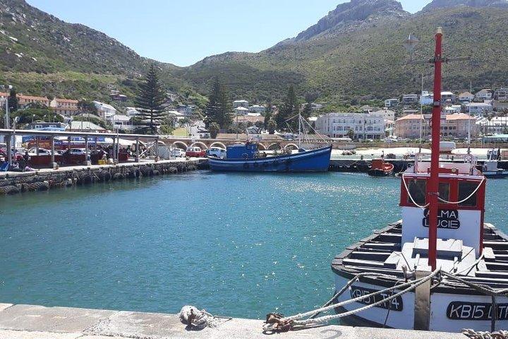 Cape Point, Boulder's Beach in Private Car Entrance Fees Included
