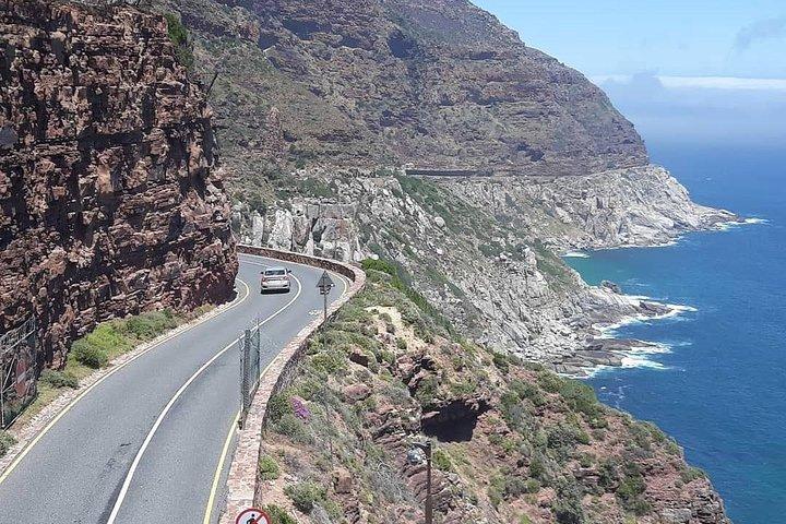 Cape Point, Boulder's Beach in Private Car Entrance Fees Included
