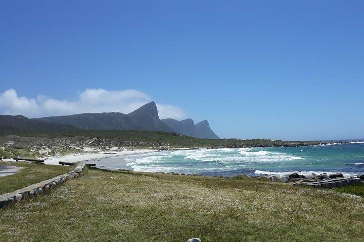 Cape Point, Boulder's Beach in Private Car Entrance Fees Included