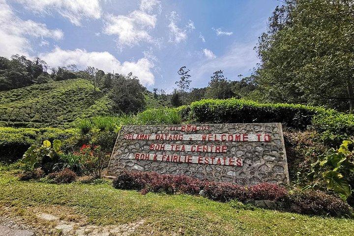 Cameron Highlands Fascinating Day Trip
