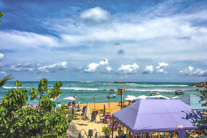Explore the Beauty of South Coast in One Day