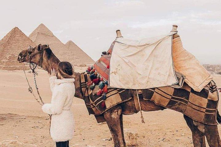 Day Tour To Giza Pyramids With Camel Ride And Egyptian Museum In Cairo