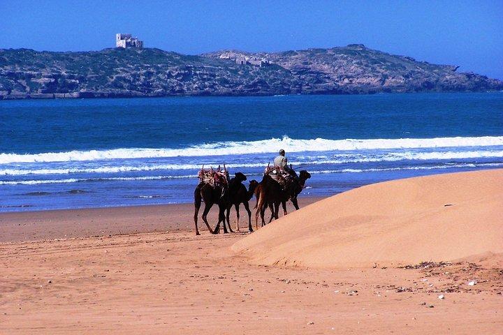Luxury private Agafay Desert Experience''Quad+Camel+Dinner+Show''