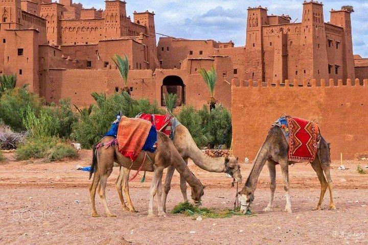 Ait ben haddou and Ouarzazate day trip from Marrakech