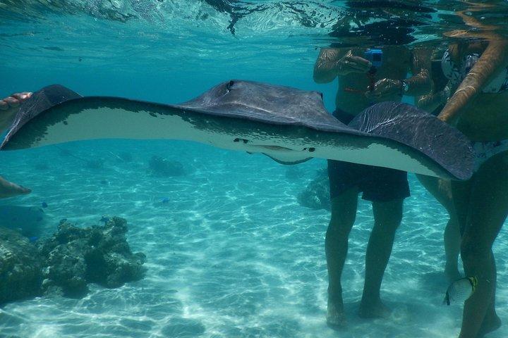 Jet-ski excursion 3 hrs Jet ski excursion to Moorea (single or two-seater)