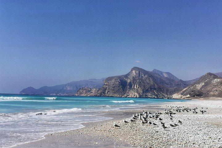 Fazayah Beach & Blowholes – Turquoise Shores of West Salalah