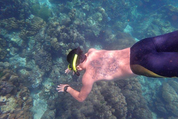 Snorkel Adventure Sea Tour to Koh Rok and Koh Haa from Koh Lanta